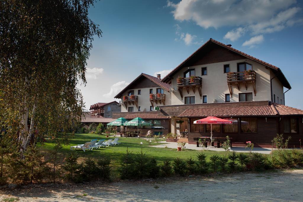 Hotel Pensiunea Royal Garden Sîmbăta de Sus Exterior foto