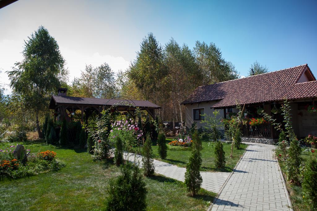 Hotel Pensiunea Royal Garden Sîmbăta de Sus Exterior foto